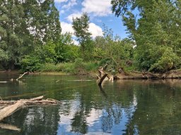 Phillippsbureg, 2 Tage Tour, Mai 2026